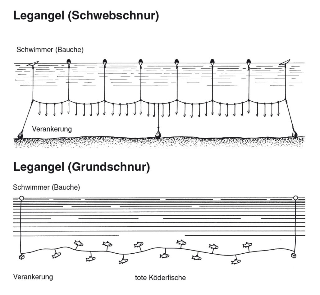 Legangel ( Grund-und Schwebschnur) Schnurkasten - Schnurklemme